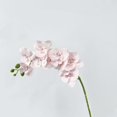 thumbnail image 4 of Artificial Real Touch Orchids Flowers, 9 Heads Faux Butterfly Orchid Long Branch, Artificial Flowers Real Touch Phalaenopsis, Fake Silk Orchids with Stem Leaves for Day Home Office Decor 1Pcs, 4 of 6