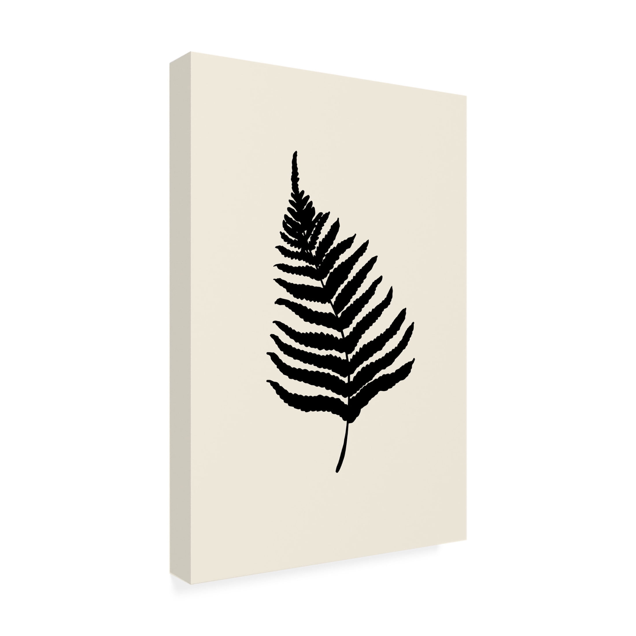 Canvas Wall Art - Pictufy Studio 'Fern' Wall Art for Living Room, Bedroom, or Office Décor by Trademark Fine Art - 16 x 24 Inches