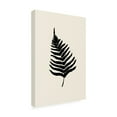 thumbnail image 4 of Canvas Wall Art - Pictufy Studio 'Fern' Wall Art for Living Room, Bedroom, or Office Décor by Trademark Fine Art - 22 x 32 Inches, 4 of 4