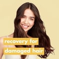 thumbnail image 3 of Shampooing Love Planet Beauty Coconut Water and Ylang Ylang, 3 of 8