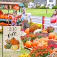 thumbnail image 4 of Hello Fall Pumpkin Garden Flag 12x18 Inch Double Sided Autumn Sign Seasonal Yard Outdoor Thanksgiving Decor DF310, 4 of 6