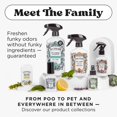 thumbnail image 2 of Poo-Pourri México Lavender Vanilla 4 Fl. Oz., Color, 118 Ml, 2 of 12