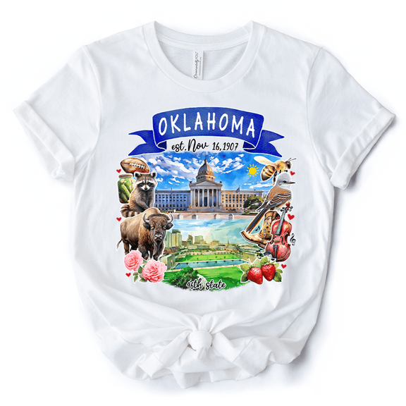 Artistic Oklahoma State Themes and Landmarks T-Shirt, Tee for History and Travel Lovers