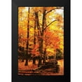 thumbnail image 2 of Hausenflock, Alan 17x24 Black Modern Framed Museum Art Print Titled - Split Rail Fence I, 2 of 5