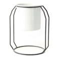 thumbnail image 1 of Soporte de Metal para plantas en maceta con maceta de hierro, soporte para estante, contenedor de plantas suculentas para interiores y exteriores, decoración del hogar, 1 of 5