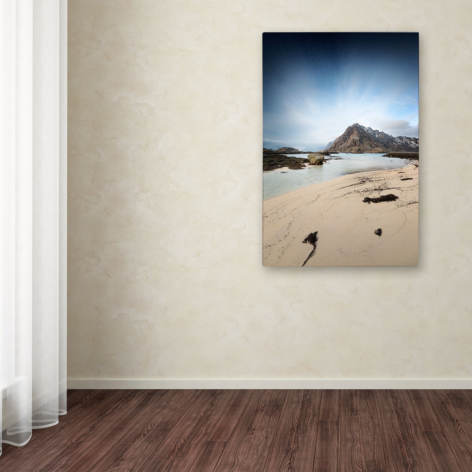 Trademark Fine Art "The Little Things" Canvas Art by Philippe Sainte-Laudy