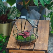 NCYP Small Close Geometric Terrarium with Door, Black Irregular Glass Planter