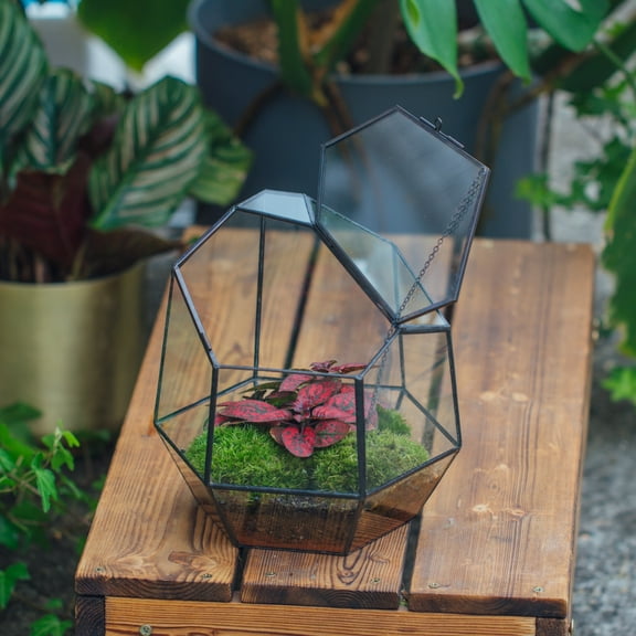 NCYP Geometric Glass Terrarium with Door, Black Irregular Shape Indoor Decor