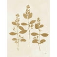 thumbnail image 3 of Purinton, Julia 19x24 Black Modern Framed Museum Art Print Titled - Botanical Study IV Gold Crop, 3 of 5