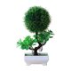 thumbnail image 1 of Jardinera Artificial Decorativa para Sala de Estar, Regalo para Exteriores, 1 of 9