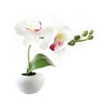 thumbnail image 6 of GENEMA Simulation Plant Refrigerator Sticker Mini Bonsai Succulent Magnet Label, 6 of 15
