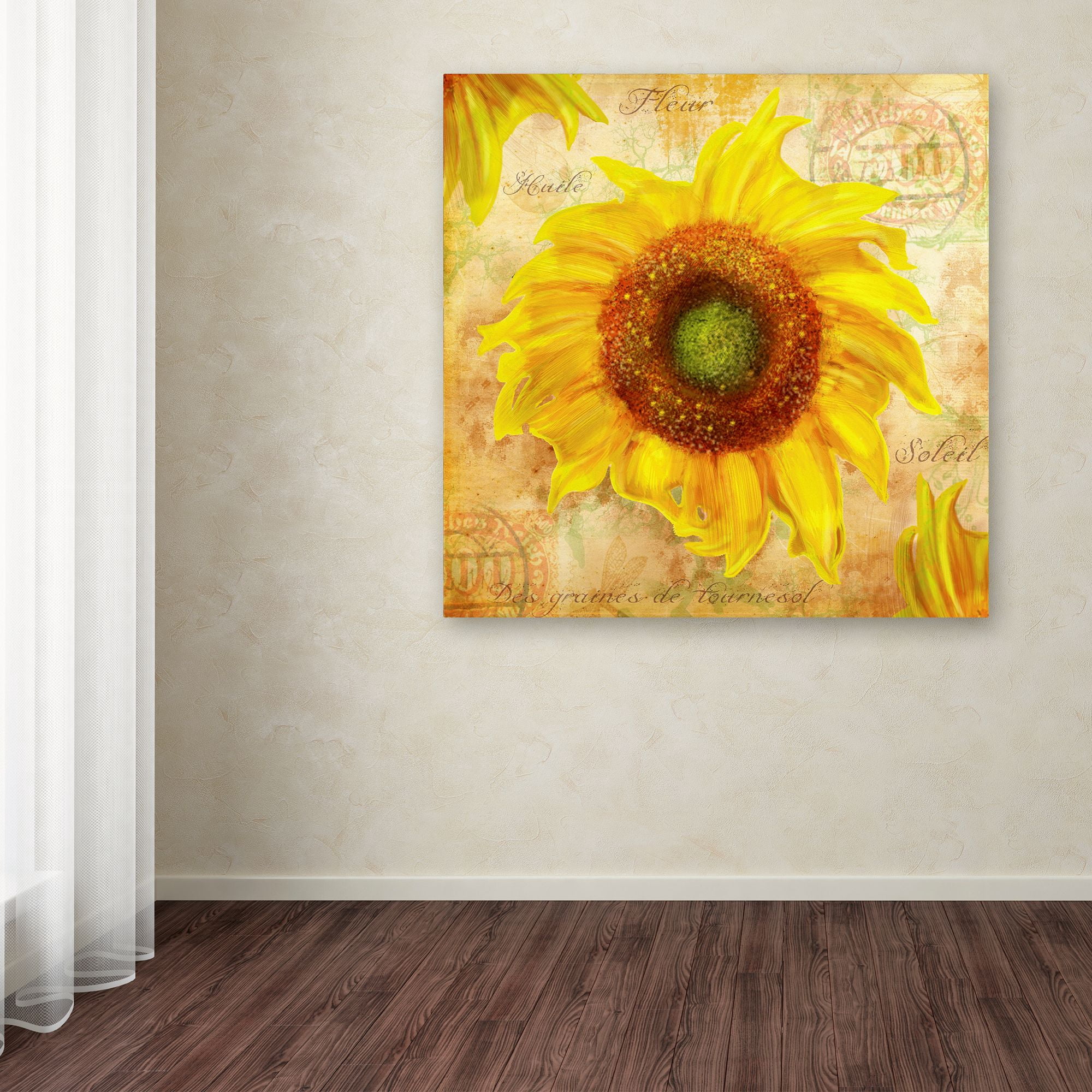 Trademark Fine Art 'Tuscan Flower 7' Canvas Art by ALI Chris