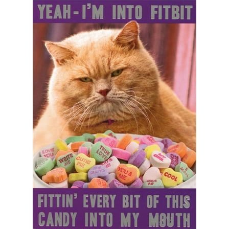 Recycled Paper Greetings Cat Into Fitbit Funny / Humorous Valentine's Day Card