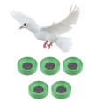 thumbnail image 1 of 15x Tazón Suministros Pigeon Racing Cuenca De Plástico Huevos De Cría De Pájaro Transpirable Yinane Nido de cuenca de huevo de pájaro al aire libre, 1 of 8