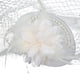 thumbnail image 1 of Sombrero fascinador de malla con perlas para mujer, tocado para novias y fiestas de boda, sombrero de copa con plumas y flores, accesorio para el pelo, blanco, 1 of 6