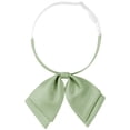 thumbnail image 1 of Corbata de lazo de doble capa ajustable de satén para camisa de uniforme para mujeres Inspire Chic, verde claro, talla única, 1 of 5