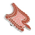 thumbnail image 5 of PinMart's Human Organ Pin Set Stomach Intestines Liver Kidney Medical Lapel Pins, 5 of 5