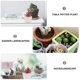 thumbnail image 3 of TEHAUX 10Ud Adornos Decorativos De Suculentas Y Cactus Artificiales Para Hogar Y Oficina, 3 of 6