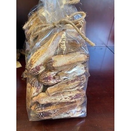 #78119 Bird Toy - Mahogany Pods 25 pieces