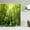 ndhd8112, variant on Tropical Rainforest Forest Shower Curtains Bathroom Curtain 3D Natural landscape Fabric Waterproof Bath Curtain with