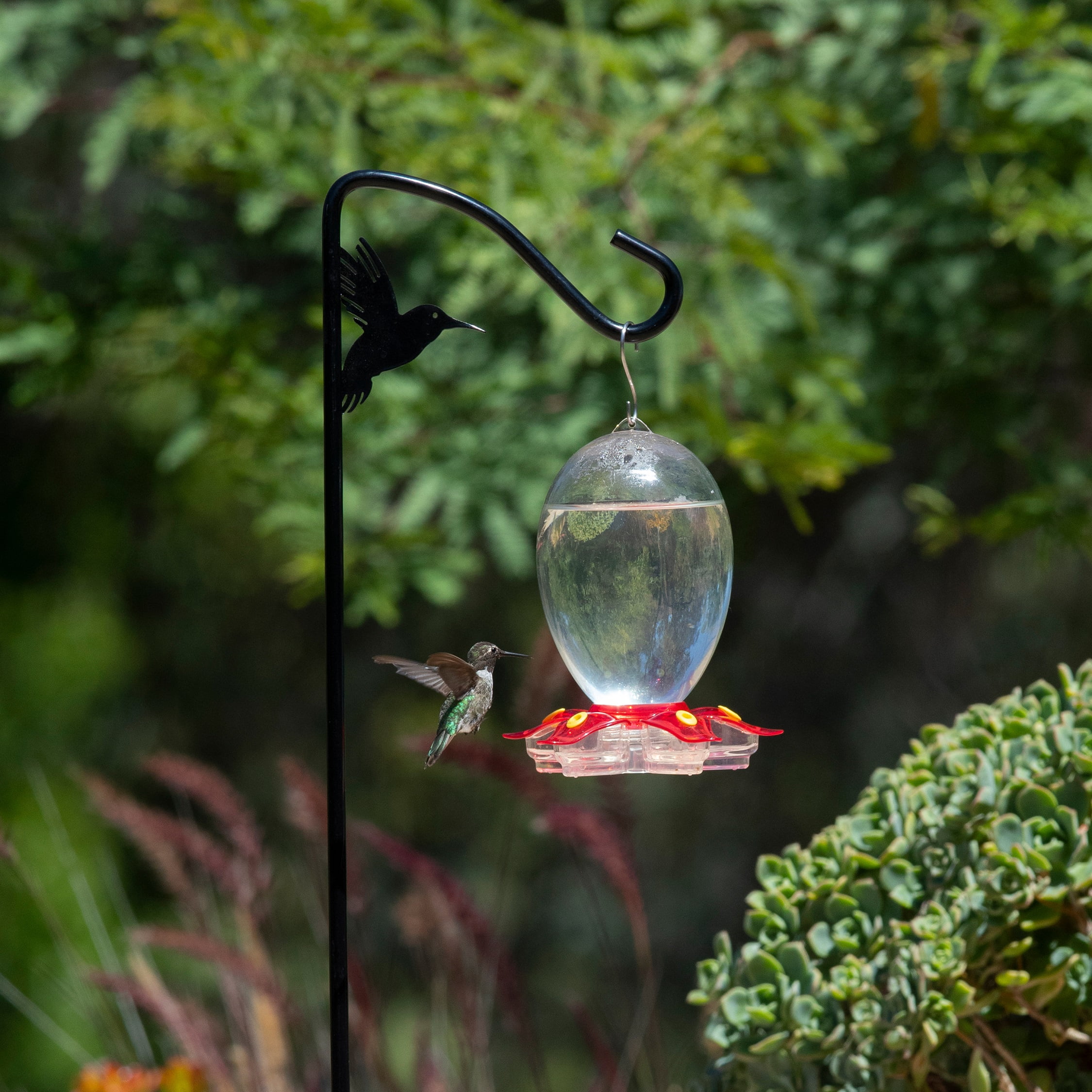 More Birds 42-inch Hummingbird Hook for Bird and Hummingbird Feeders, Stabilizer Leg and Curved Design, Black, 1 Pack