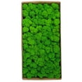 thumbnail image 1 of Musgo preservado,Musgo preservado Decoración de pared Musgo preservado real No requiere mantenimient TOMSHOO Tipo 4, 1 of 7