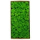 thumbnail image 1 of Musgo conservado Decoración de pared Musgo conservado real No requiere mantenimiento Musgo conservado naturalmente para el hogar, 1 of 8