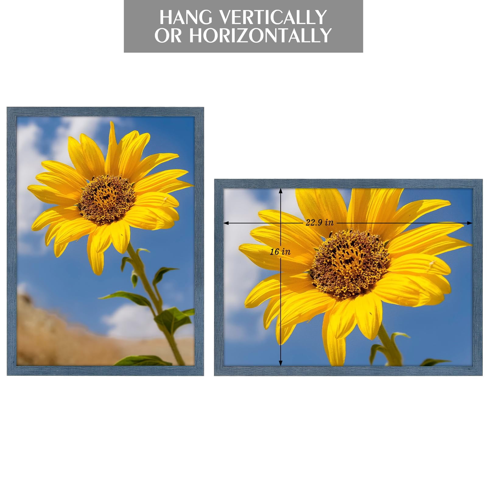 Golden State Art A2 16.5x23.4 Inch Wall Picture Frames with Plexiglass, Blue, Set of 2
