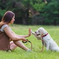 thumbnail image 5 of Taglory Rope Dog Leash with Comfortable Padded Handle, 4ft Reflective Dog Leash, Hotpink, 5 of 7