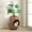Brown, variant on Eggloa6 Cat Plant Litter Box Set With Artificial Plants, Attached Scoop, Replaceable Litter Box Liners, Hidden Cat Litter Box Furniture, White