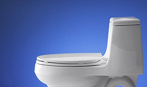 Kohler Brevia Elongated Toilet Seat With Quick-Release Hinges, White