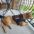 thumbnail image 5 of Parche J.CARP K9 para perros de servicio, no táctil, bordado por completo, 10 unidades, 5 of 5