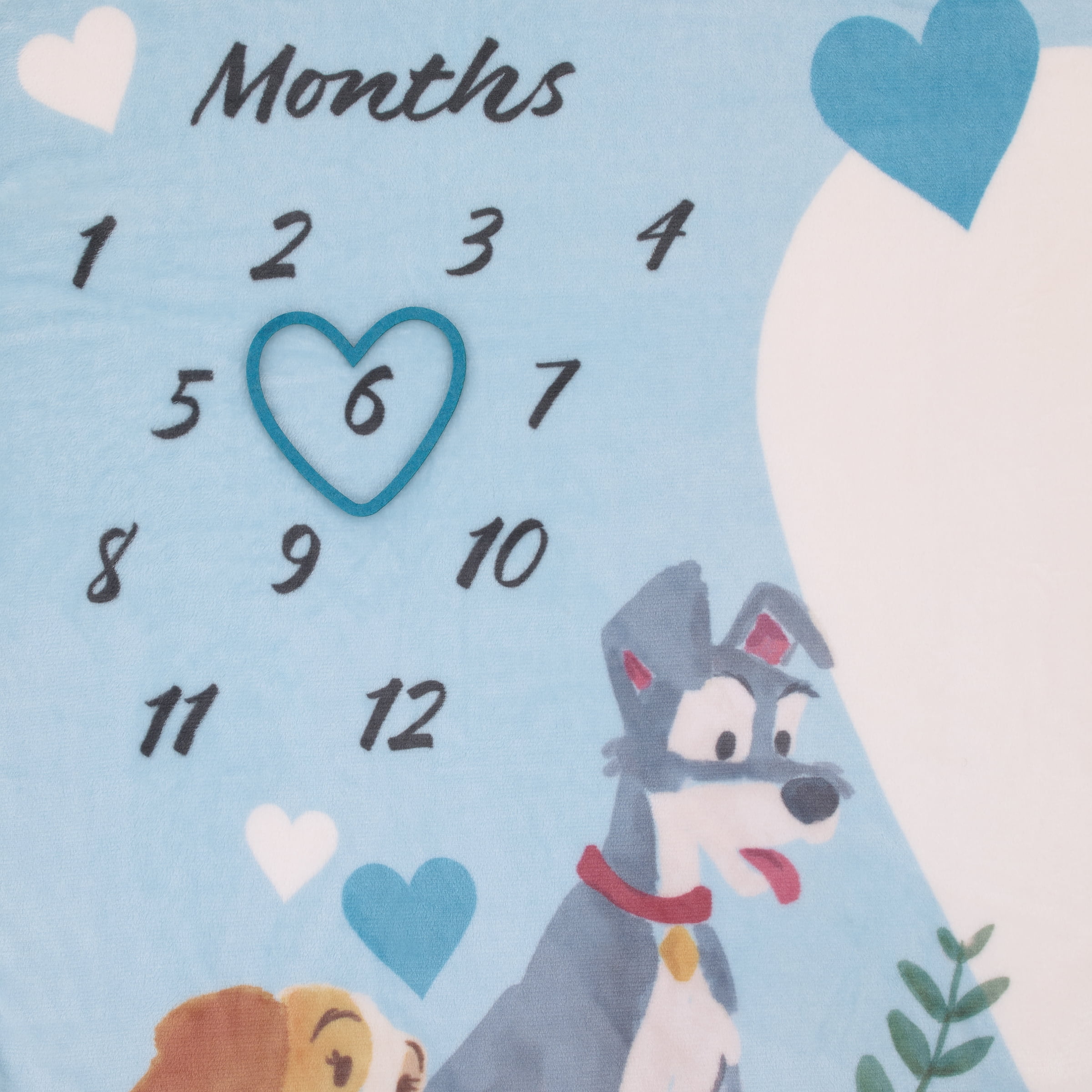 Disney Lady & the Tramp Photo Op Milestone Baby Blanket