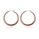 thumbnail image 2 of E031-A Compras gratis Pendientes chapados en oro de 18 quilates Pendientes de circón Oro rosa-110485.02 Likrtyny Para estrenar, 2 of 6
