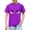 Purple, variant on Piuwrlz Blue Short Shirts Sleeve Toddler Boys Graphic T-Shirts Pullover T Shirts Blue Size 4 Years