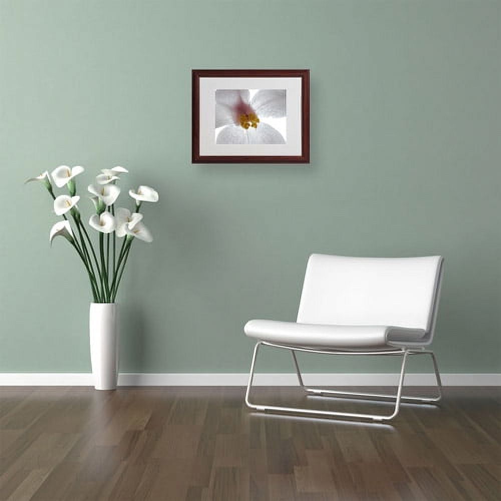 Trademark Fine Art "Escargo Begonia" Canvas Art by Kurt Shaffer, Wood Frame
