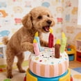thumbnail image 7 of Tarmeek Birthday Cake Squeaky Dog Toys, Dog Toys for Aggressive Chewers, Durable Plush Dog Chew Toy with Squeaker, Interactive Dog Toys Soft Non-Toxic Training Reward for Small Medium Dogs, 7 of 7