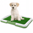 thumbnail image 1 of Tapete Entrenador ecologico para mascotas perros alfa pet, 1 of 6