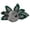 Grey, variant on BINGLI Axolotl Plush Toy, 14" Axolotl Stuffed Animal,Salamander Axolotl Plush Doll Gifts for Boys Girls Birthday Christmas, New Year