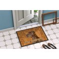 thumbnail image 4 of Carolines Treasures SS4879JMAT 24 X 36 In. Field Spaniel Wipe Your Paws Indoor Or Outdoor Mat, 4 of 4