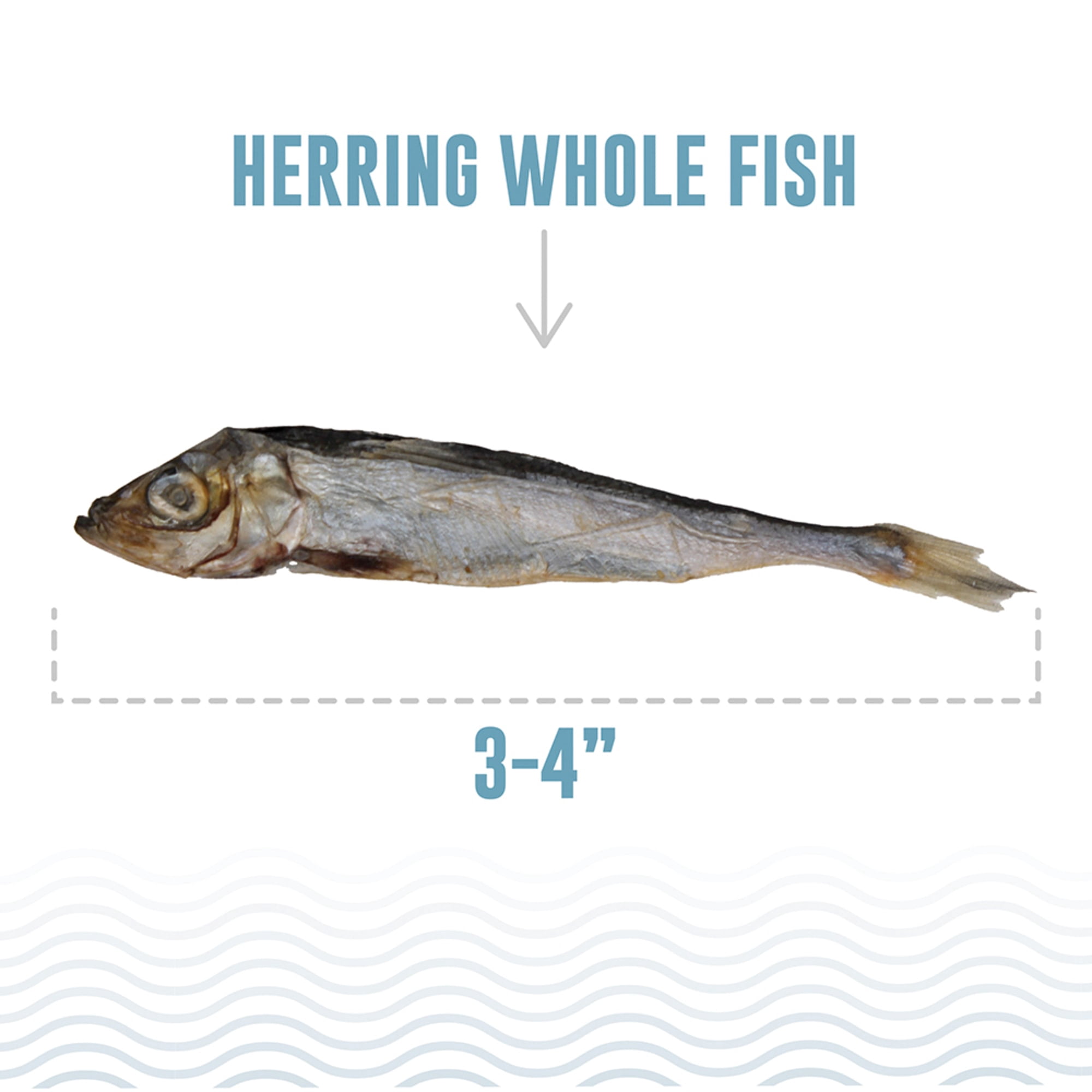 Icelandic+ Whole Fish Herring - 9oz Bag - Dog Treats, Pure Wild-Caught Air-Dried Fish, Single Ingredient Snack, Pet Chew, Just The Fish Nothing Else