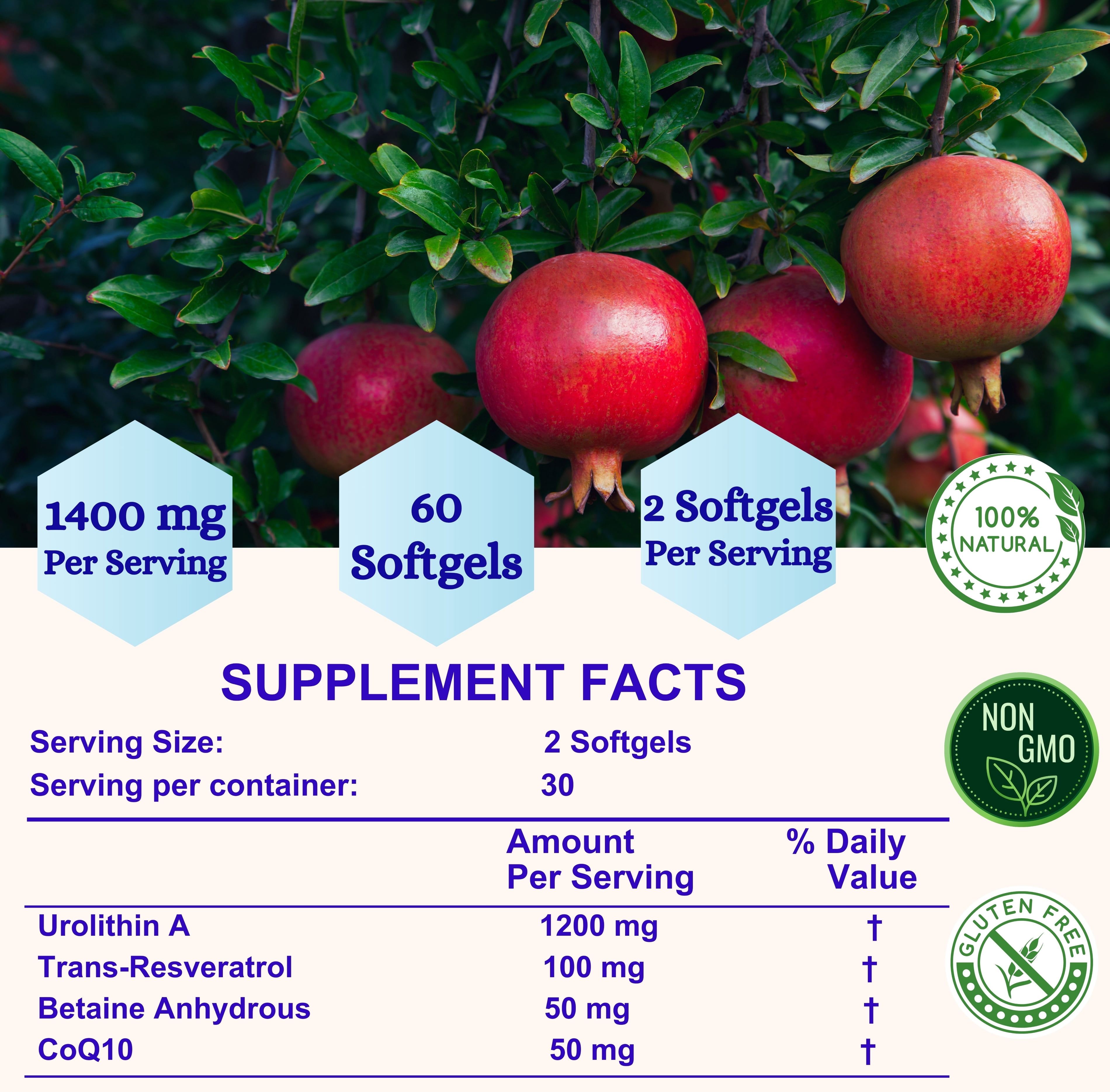 Nikoni Liposomal Urolithin-A Dietary Supplement Maximum Metabolism Healthy Aging Wellness 60 Softgels