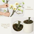 thumbnail image 6 of 4FT Faux Southern Magnolia Plants Yellow Flowered Magnolia for Yard Patio Home Office Arrangement Decor Artificial Magnolia Tree with 66 Realist Touch Flowers 72 Vivid Leaves White Pot Dry Mosses, 6 of 8