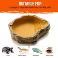 thumbnail image 6 of Freshinsects Reptile Water and Food Bowl, Terrarium Decor (Large, Yellow), 6 of 6