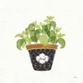 thumbnail image 2 of Penner, Janelle 20x20 Black Ornate Wood Framed with Double Matting Museum Art Print Titled - Fine Herbs VIII, 2 of 4