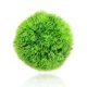 thumbnail image 3 of Wosthever 4 Uds bola de algas marinas verdes plantas de adorno de malezas de agua artificiales para la decoración del acuario del tanque de peces Plantas Artificiales verde 4 * 4cm Wosthever HA044633-02, 3 of 6