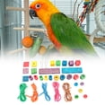 thumbnail image 3 of Juguete De Pájaro De Madera, Accesorio De Bricolaje, Juguete De Pájaro, Juguete De Loro, Mascotas De Madera Para Loros ANGGREK Otros, 3 of 8
