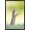 Black Framed Version, variant on The Comedy Wildlife Photography Awards: Perdita Petzl - Conducting Wall Poster, 14.725" x 22.375"