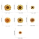 thumbnail image 4 of 20 parches bordados para planchar con flores, parches para coser de girasol, parches adhesivos con apliques bordados de mariposas y pájaros, 4 of 5