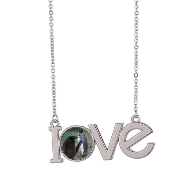 Mer Froid Antarctique Pingouin Science Nature Image Amour Collier Pendentif Bijoux